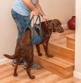 Load image into Gallery viewer, Kurgo Dog Lifter - Rehabilitation Harness for Dogs, Lifting Support Harness