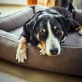 Load image into Gallery viewer, LABONI Buffalo orthopedic dog bed, dog resting inside