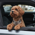 Load image into Gallery viewer, Staey Elma Dog Harness: Mocha