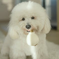 Load image into Gallery viewer, Lambwolf Garlic Pop Enrichment Dog Toy with Squeaky Ball