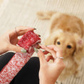 Load image into Gallery viewer, Lambwolf Lollipop Enrichment Dog Toy Snuffle