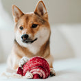 Load image into Gallery viewer, Lambwolf Lollipop Enrichment Dog Toy Snuffle