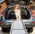 Load image into Gallery viewer, PetSafe Happy Ride Telescoping Dog Ramp - Telescoping Ramp for Dogs
