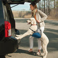 Load image into Gallery viewer, Kurgo Dog Lifter - Rehabilitation Harness for Dogs, Lifting Support Harness
