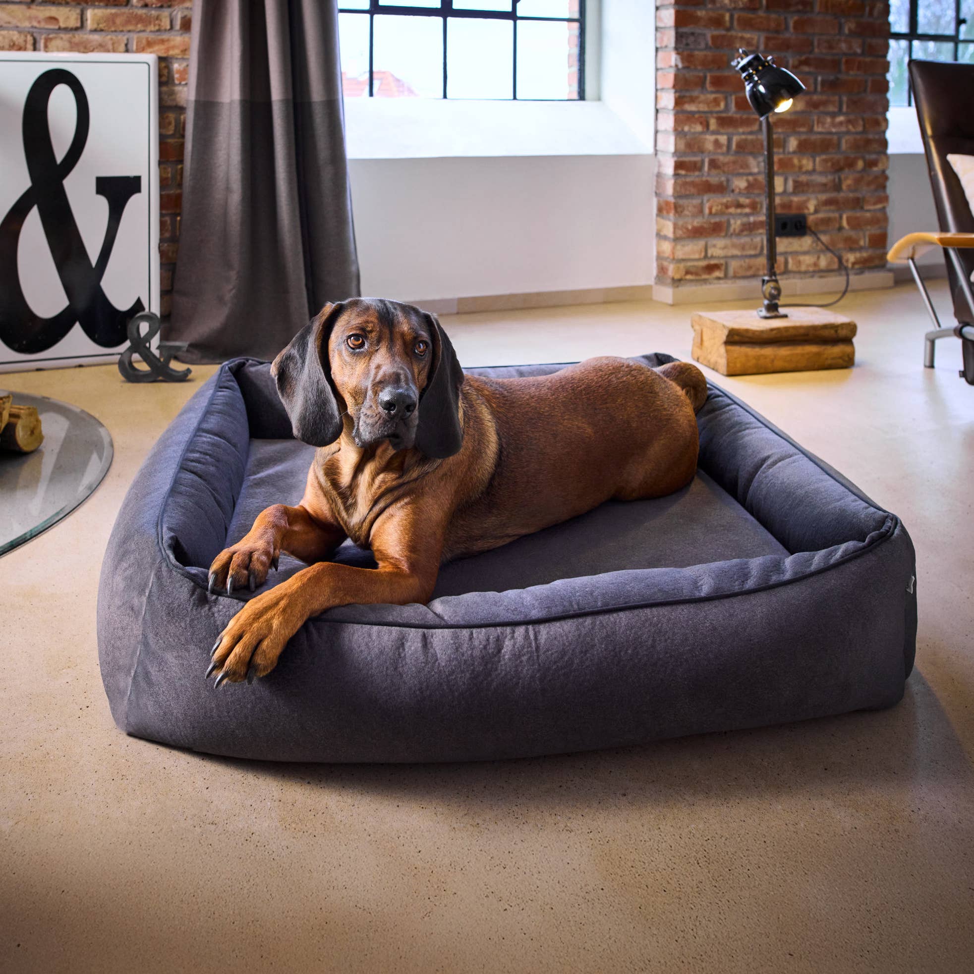 LABONI Buffalo orthopedic dog bed, shown in living room setting
