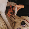 Load image into Gallery viewer, HotDog Nourishing Paw & Nose Balm 50ml.
