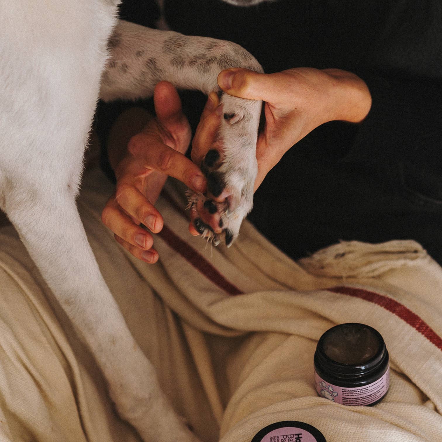 HotDog Nourishing Paw & Nose Balm 50ml.