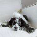 Load image into Gallery viewer, Lambwolf Garlic Pop Enrichment Dog Toy with Squeaky Ball
