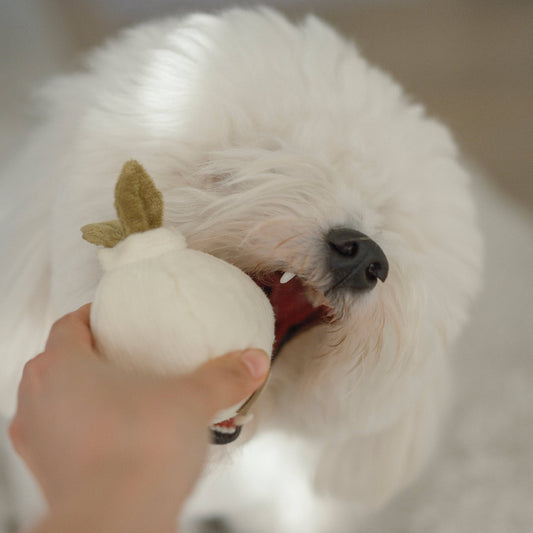 Lambwolf Garlic Pop Enrichment Dog Toy with Squeaky Ball