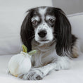 Load image into Gallery viewer, Lambwolf Garlic Pop Enrichment Dog Toy with Squeaky Ball
