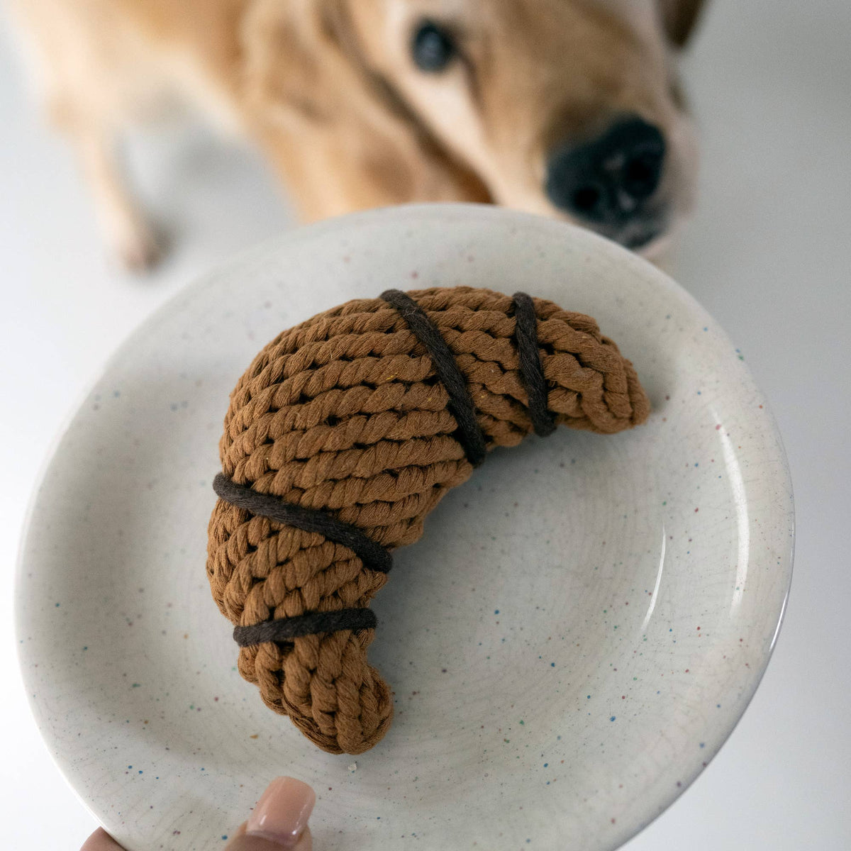 Laboni kramtomas žaislas dantų priežiūrai – „Chrissy Croissant“