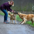 Load image into Gallery viewer, Woman playing with two dogs on a path outdoors with Ringo Ring dog toy, braided cotton fibers for natural tooth cleaning
