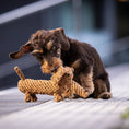 Load image into Gallery viewer, Laboni Dog Chew Toy Cotton Rope  Dental Care Dachshund- "Diego Dackel"
