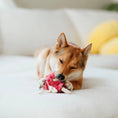 Load image into Gallery viewer, Lambwolf Lollipop Enrichment Dog Toy Snuffle
