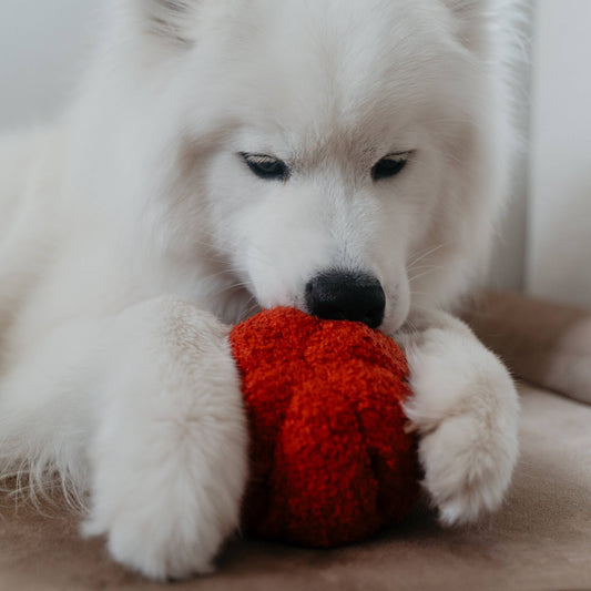 Lambwolf Pepper Enrichment Dog Toy Snuffle